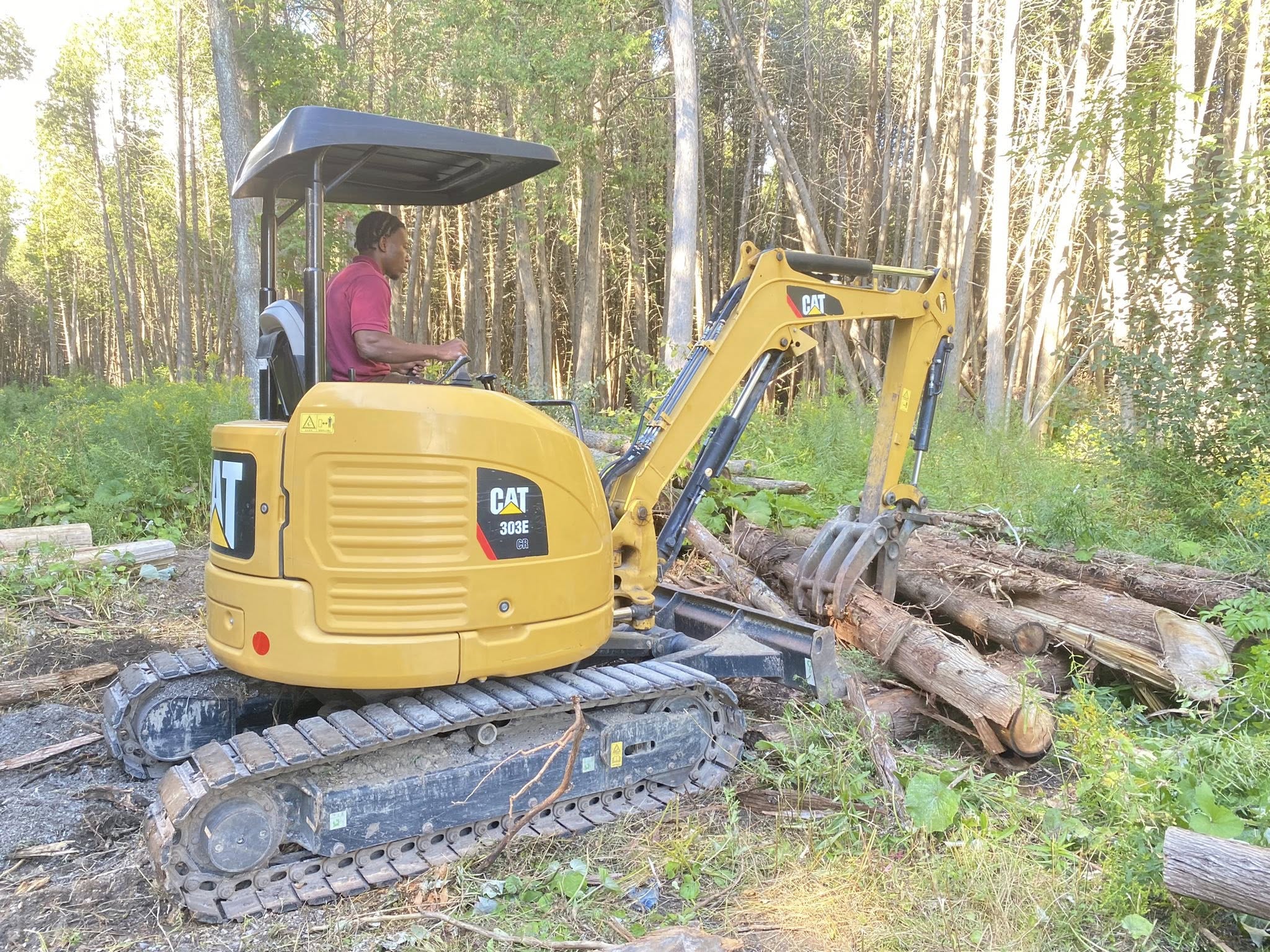 Beautiful landscaped garden