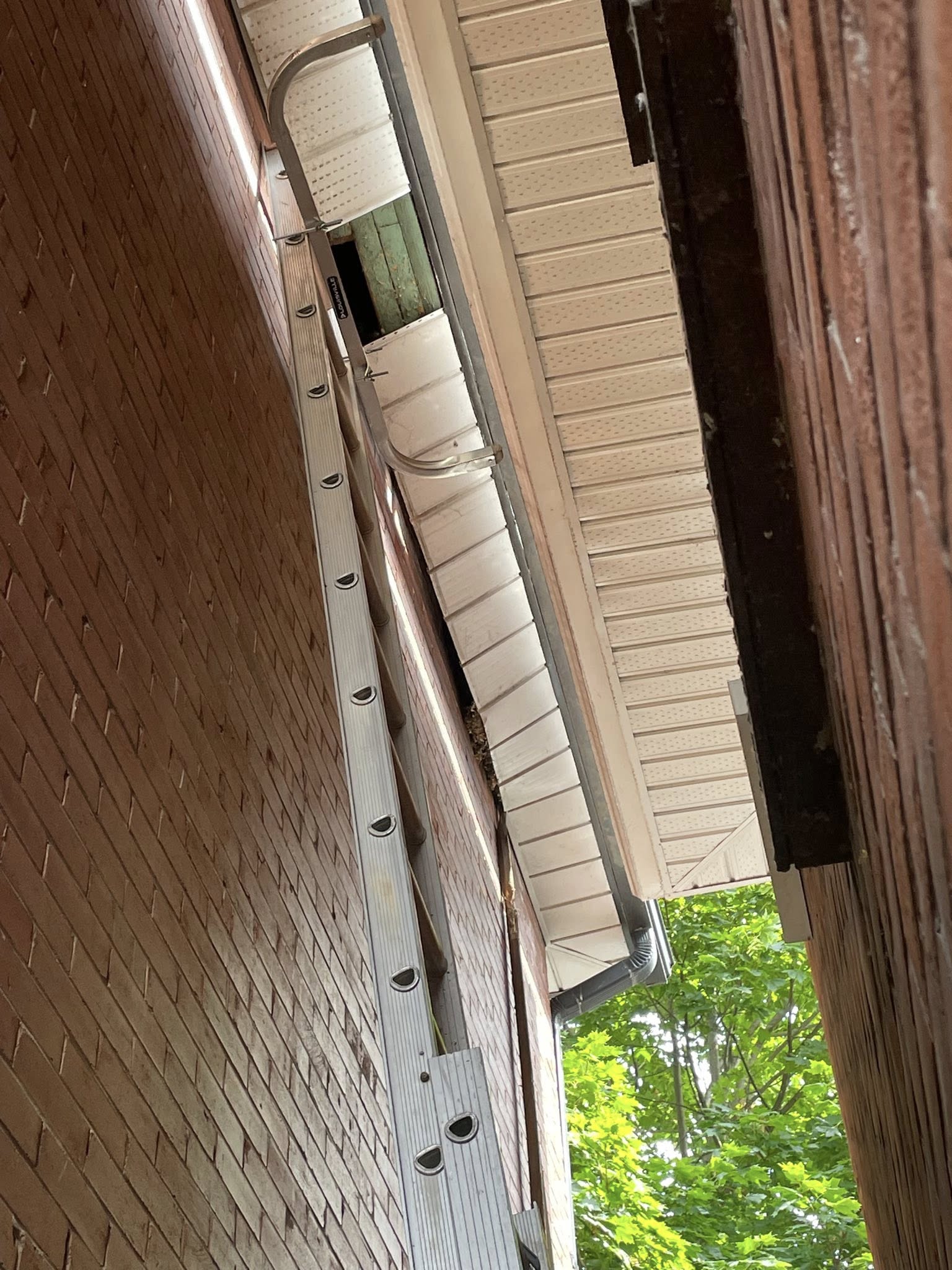 Clean gutters